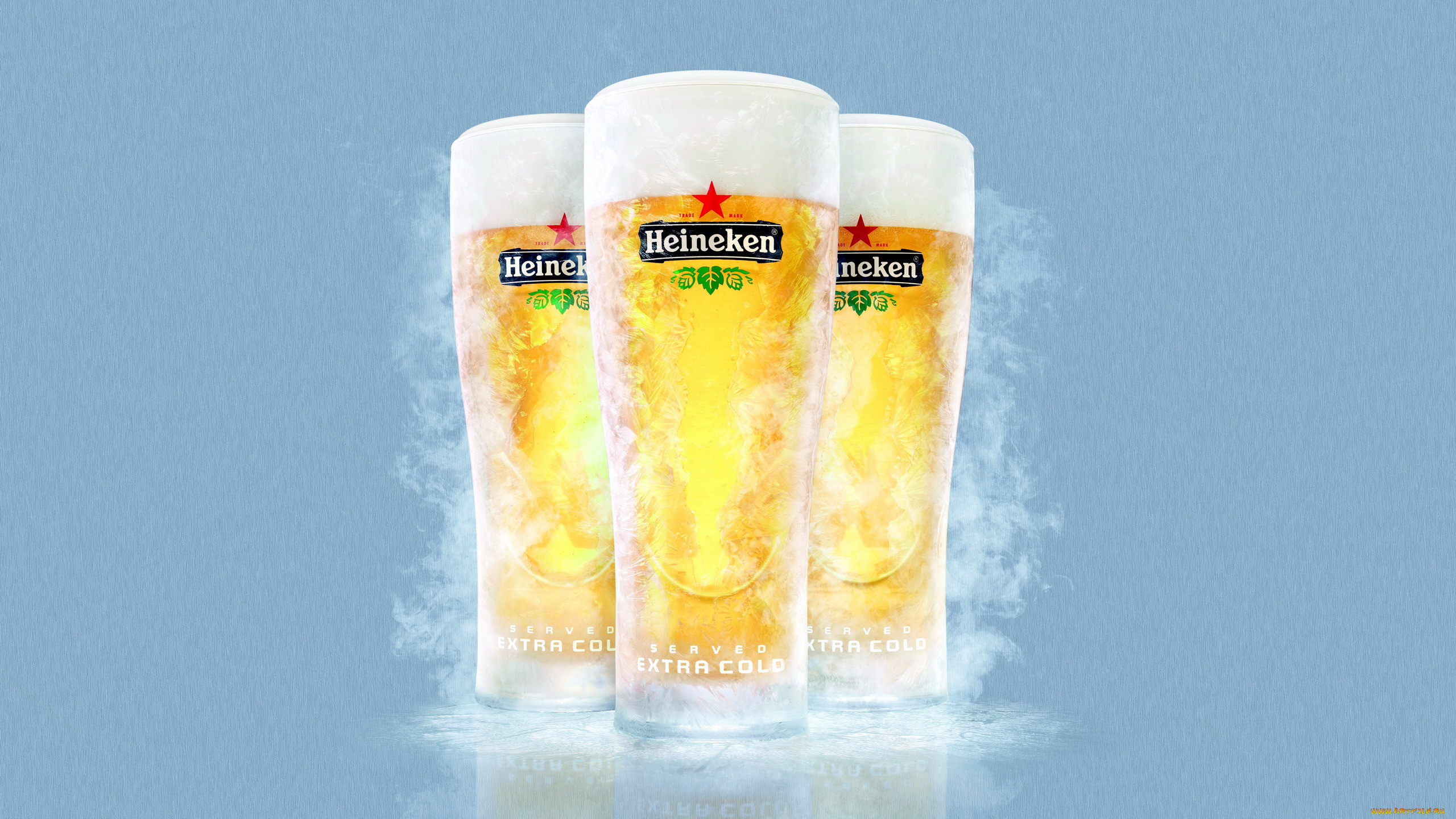 , heineken, 